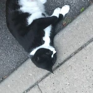 Meet your Posher, Gabrielle